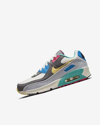 Nike Air Max 90 Grises Rosas | MX 4658